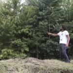ALTERAR – LODO JBB