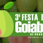 goiaba