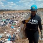 Vera Veronika – Reciclando Sonhos 2