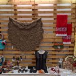 Foto Agda Carvalho_Setur-DF (6)