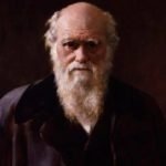 Darwin