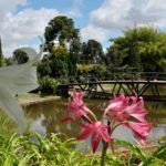 jardim-botanico-brasilia