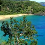 banner5